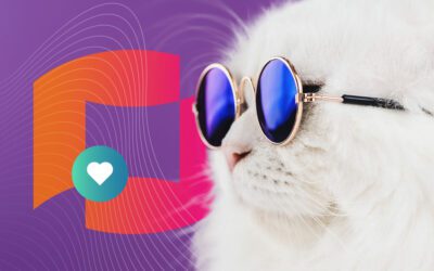 Od samostojnega ljubljenčka do spletnega fenomena: Vzpon ‘influencer’ mačk.